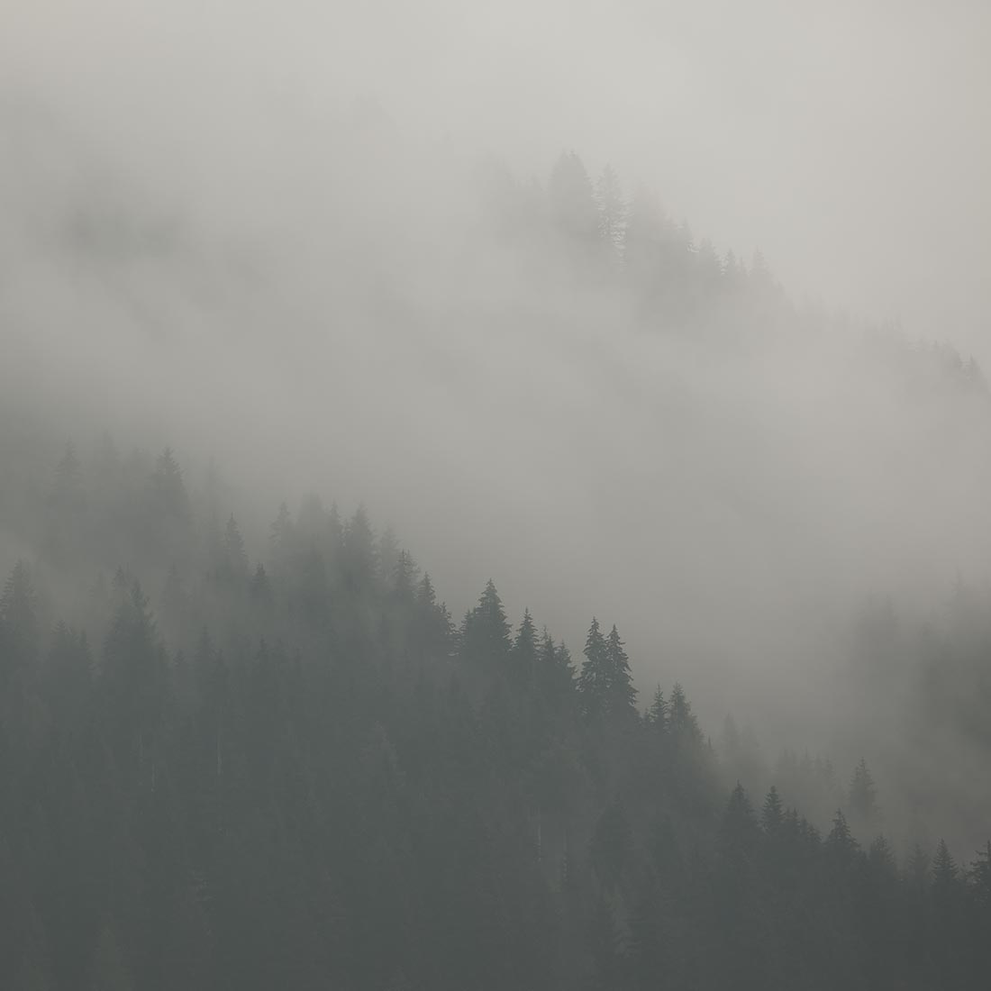 qode interactive strata