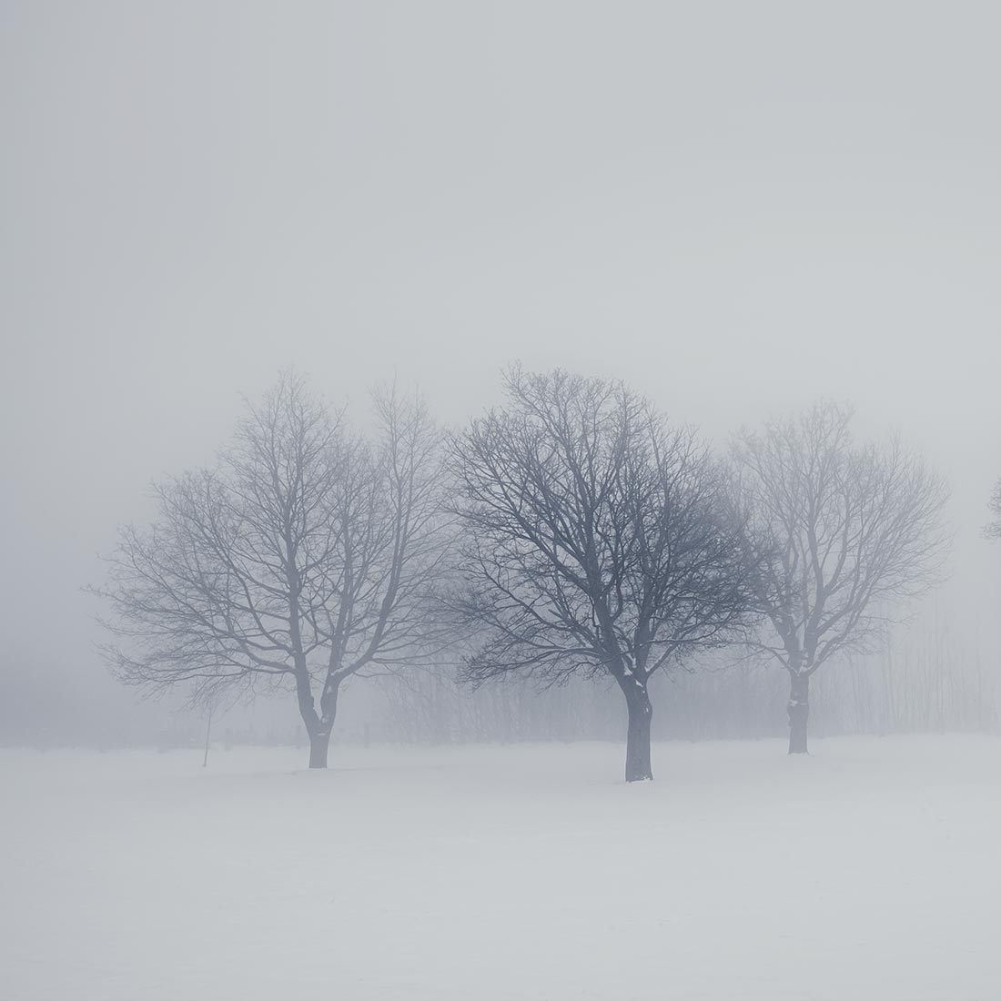 qode interactive strata