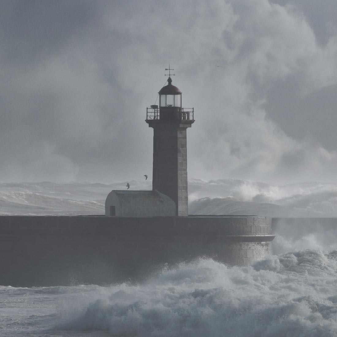 qode interactive strata